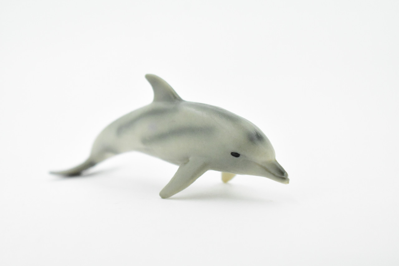 Dolphin, Bottlenose, Baby, Calf, Museum Quality, Hand Painted, Rubber Fish, Realistic Toy Figure, Model, Replica, Kids, Educational, Gift,      4"    CH203 BB117