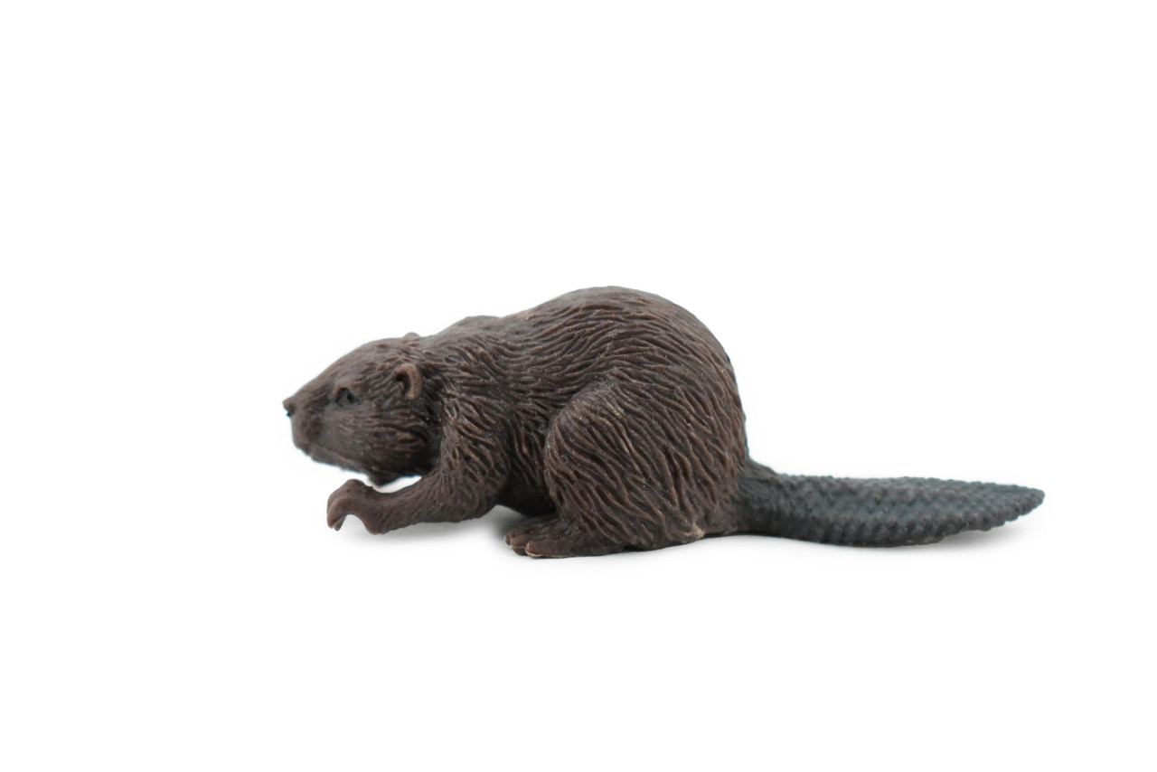 Beaver, Castor, Rubber Animal, Hand Painted, Realistic Toy Figure, Model, Replica, Kids, Educational, Gift,      2 1/2"      CH208 BB118