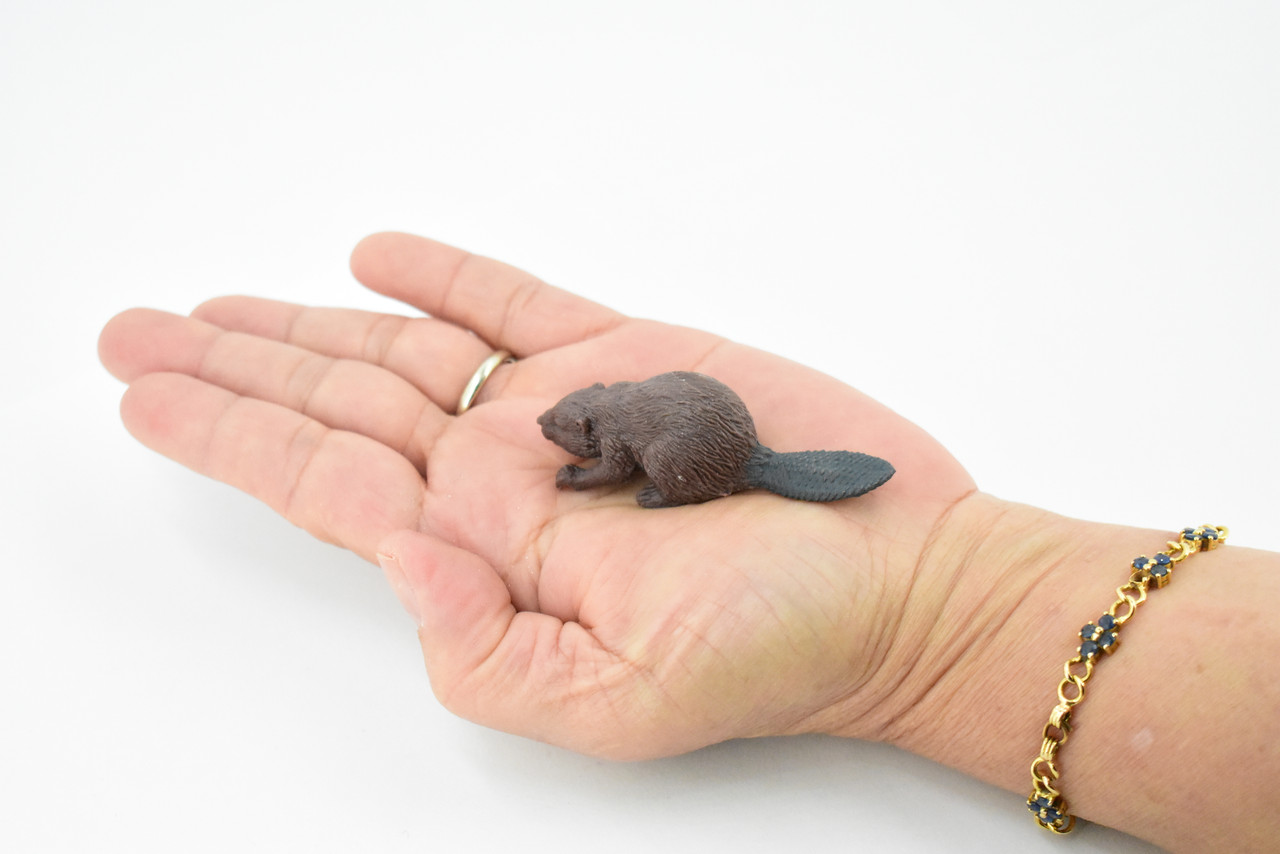 Beaver, Castor, Museum Quality, Hand Painted, Rubber Animal, Realistic Toy Figure, Diorama Model, Kids, Educational, Gift,      2 1/2 Inches.  