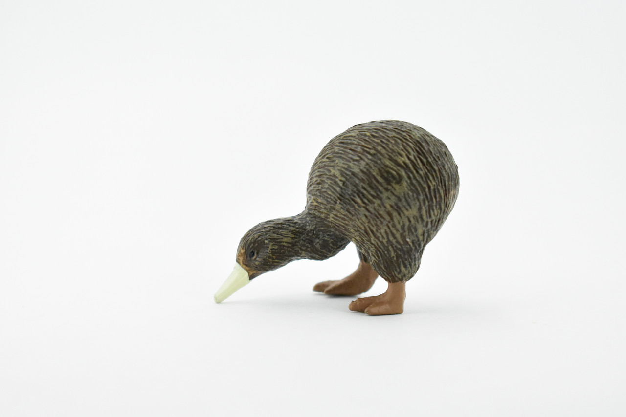 Kiwi Bird, Museum Quality, Rubber Bird, Hand Painted, Realistic Toy Figure, Model, Replica, Kids, Educational, Gift,     2 1/2"    CH209 BB118