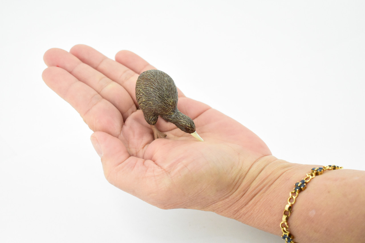 Kiwi Bird, Museum Quality, Rubber Bird, Hand Painted, Realistic Toy Figure, Model, Replica, Kids, Educational, Gift,     2 1/2"    CH209 BB118