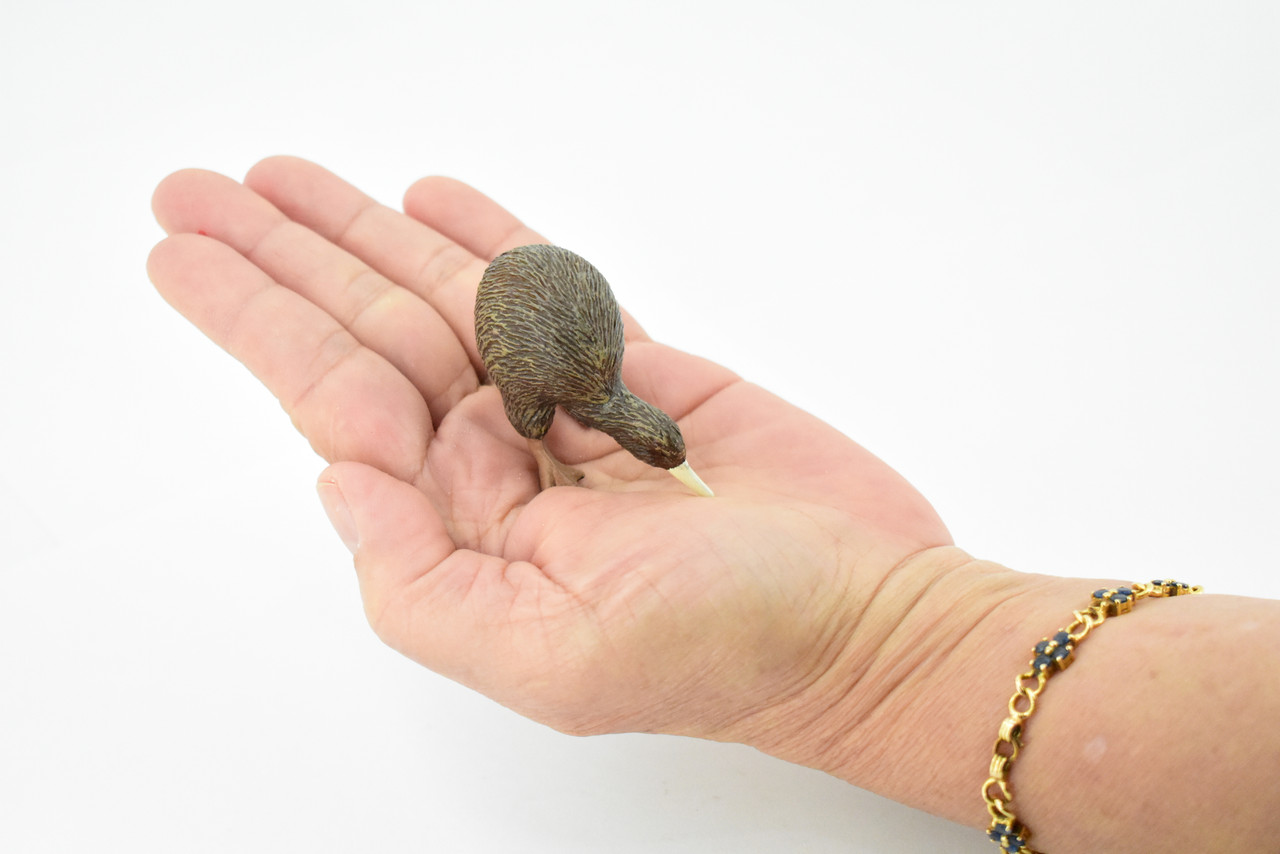 Kiwi, Kee Wee, Tokoeka Bird, Museum Quality, Rubber Bird, Hand Painted, Realistic Toy Figure, Diorama Model, Kids, Educational, 2 1/2 Inches. 