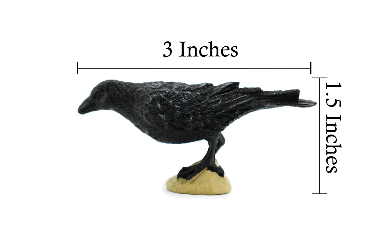 Raven, Museum Quality, Rubber Bird, Hand Painted, Realistic Toy Figure, Model, Replica, Kids, Educational, Gift,    3"     CH210 BB118