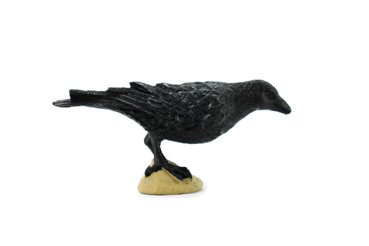 Raven, Museum Quality, Rubber Bird, Hand Painted, Realistic Toy Figure, Model, Replica, Kids, Educational, Gift,    3"     CH210 BB118