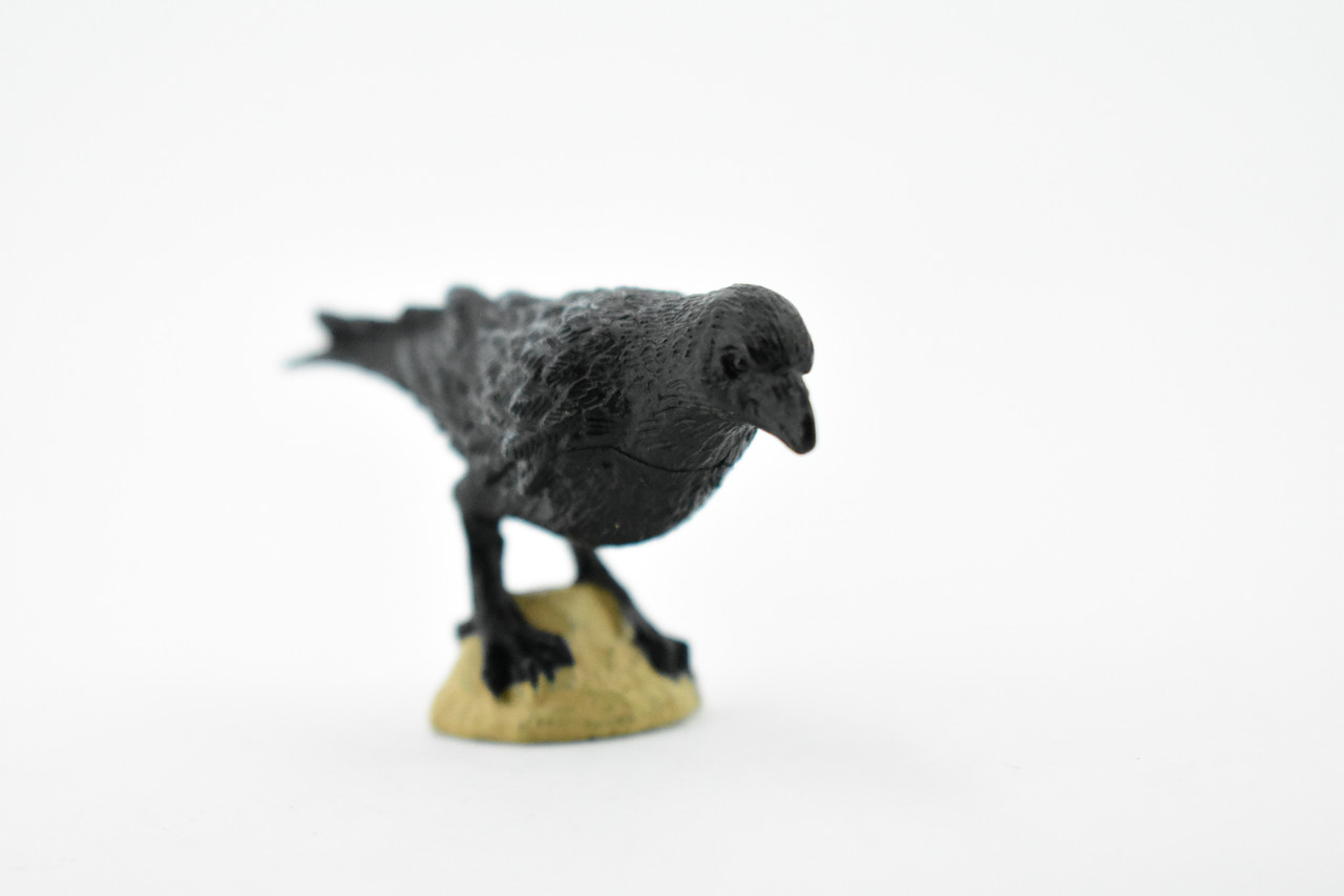 Raven, Museum Quality, Rubber Bird, Hand Painted, Realistic Toy Figure, Model, Replica, Kids, Educational, Gift,    3"     CH210 BB118