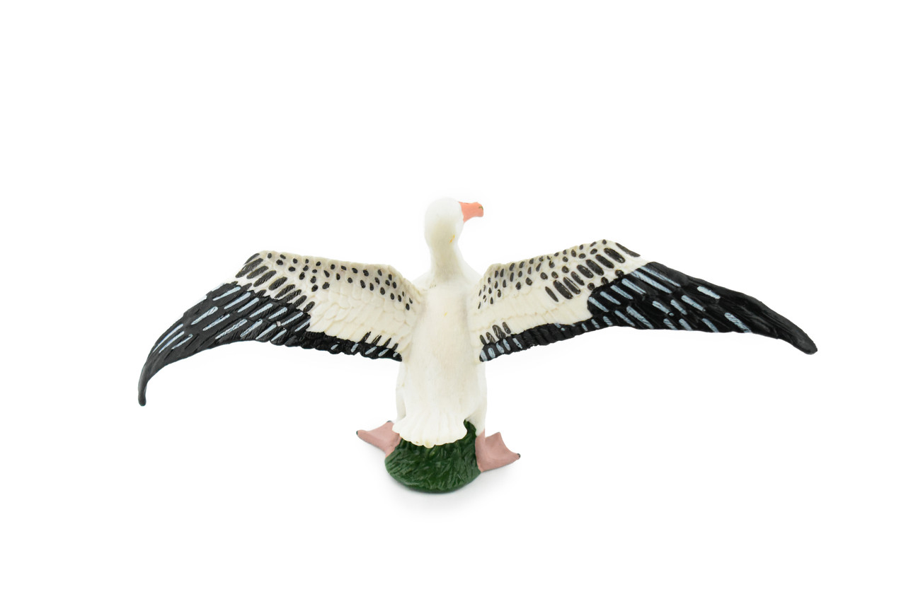 Seagull, Sea Gull, Museum Quality, Rubber Bird, Hand Painted, Realistic Toy Figure, Model, Replica, Kids, Educational, Gift,     7"     CH211 BB118