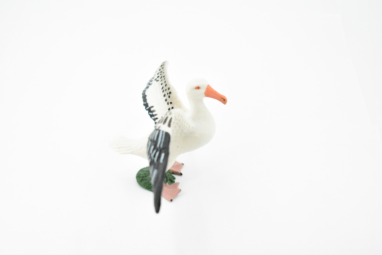 Seagull, Sea Gull, Laridae, Museum Quality, Educational, Hand Painted, Rubber Bird, Realistic Toy Figure, Diorama Model, Replica, Kids, 7 Inches. 