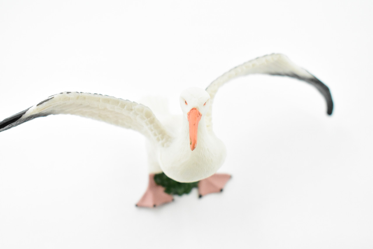 Seagull, Sea Gull, Museum Quality, Rubber Bird, Hand Painted, Realistic Toy Figure, Model, Replica, Kids, Educational, Gift,     7"     CH211 BB118