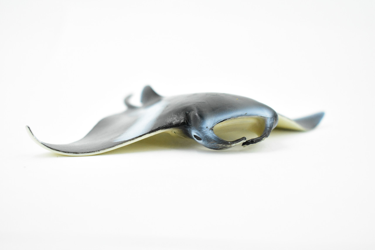 Manta Ray, Devil Fish, Museum Quality, Educational, Rubber Fish, Hand Painted, Realistic Toy Figure, Diorama Model, Kids,  6 Inches.