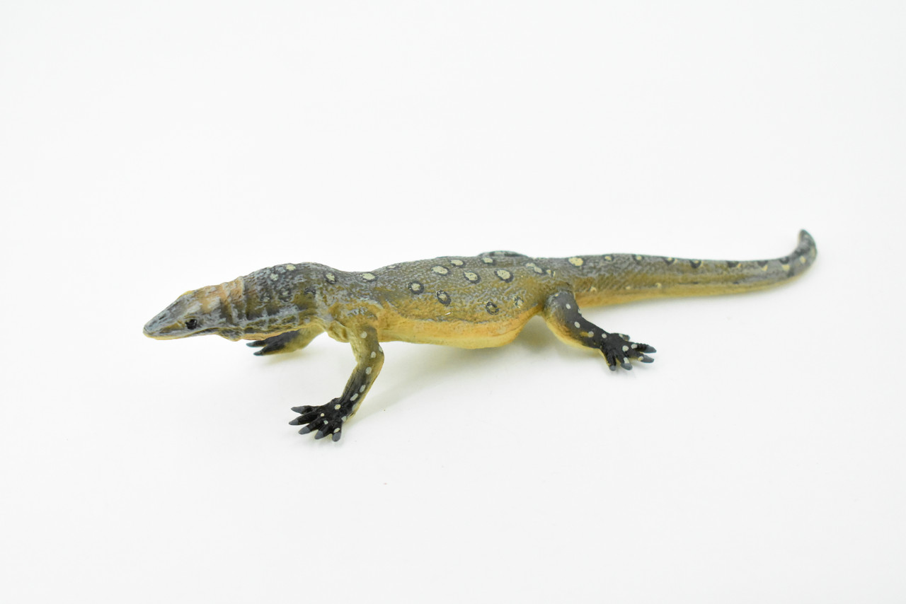 Lizard, Perentie Monitor Lizard, Museum Quality, Hand Painted, Rubber Toy Figure, Realistic  Model, Replica, Kids, Educational, Gift,        6"     CH214 BB118