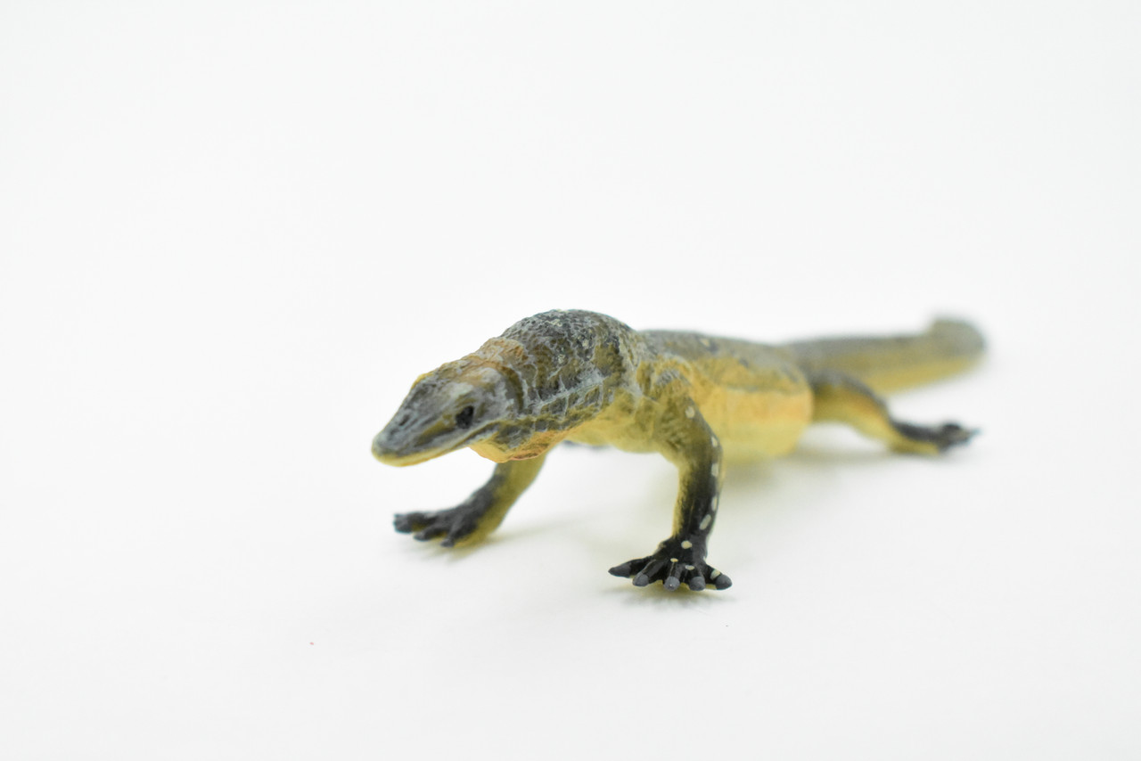 Lizard, Perentie Monitor Lizard, Museum Quality, Hand Painted, Rubber Toy Figure, Realistic  Model, Replica, Kids, Educational, Gift,        6"     CH214 BB118