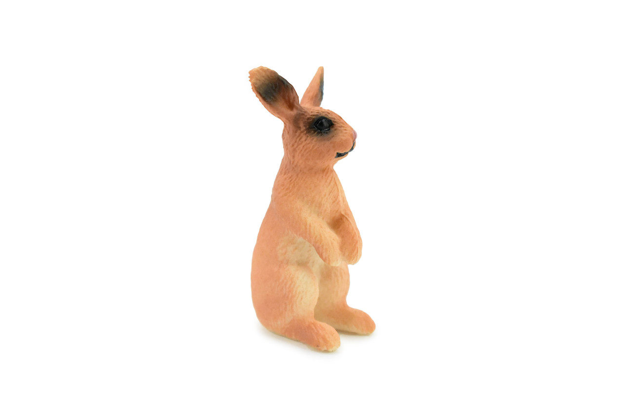 Rabbit, Hare, Bunny Rabbits, Museum Quality, Hand Painted, Rubber Toy Figure, Realistic  Model, Replica, Kids, Educational, Gift,      2"    CH215 BB118
