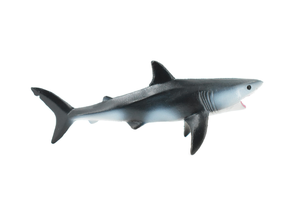 Shark, Great White Shark, Museum Quality, Rubber Fish, Hand Painted, Realistic Toy Figure, Model, Replica, Kids, Educational, Gift,     5"     CH218 BB119