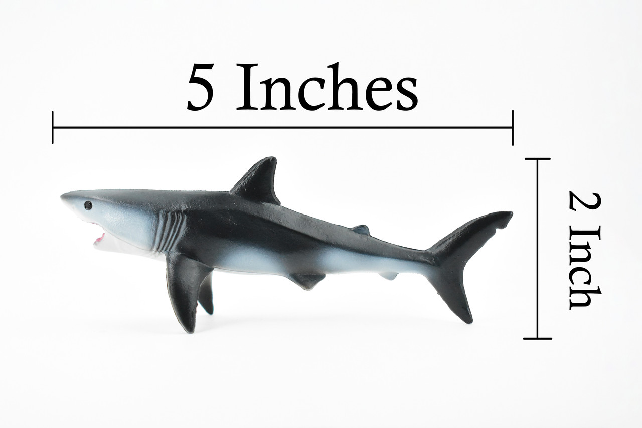 Shark, Great White Shark, Museum Quality, Rubber Fish, Hand Painted, Realistic Toy Figure, Model, Replica, Kids, Educational, Gift,     5"     CH218 BB119