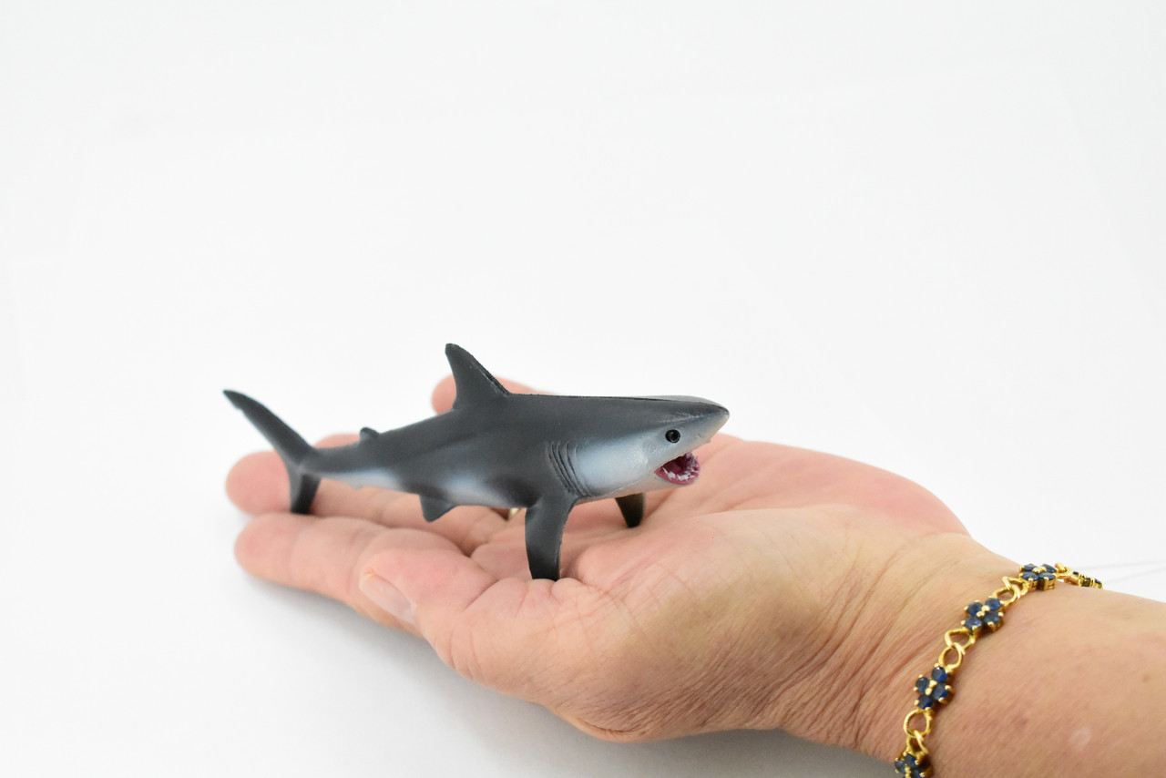 Shark, Great White Shark, Museum Quality, Rubber Fish, Hand Painted, Realistic Toy Figure, Model, Replica, Kids, Educational, Gift,     5"     CH218 BB119