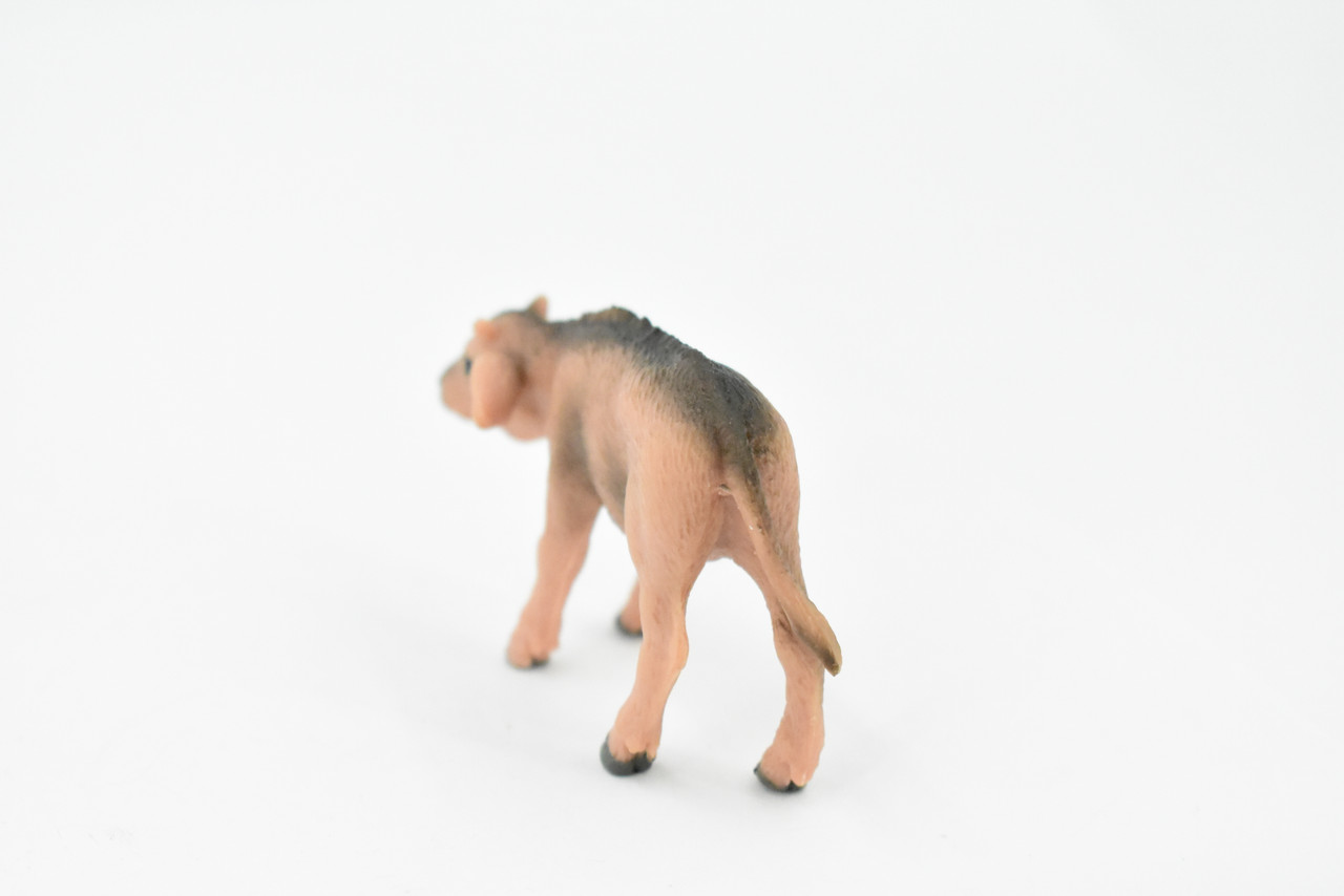 Buffalo, Baby, Bison Calf, Rubber Animal, Hand Painted, Realistic Toy Figure, Model, Replica, Kids, Educational, Gift,       3"     CH219 BB119