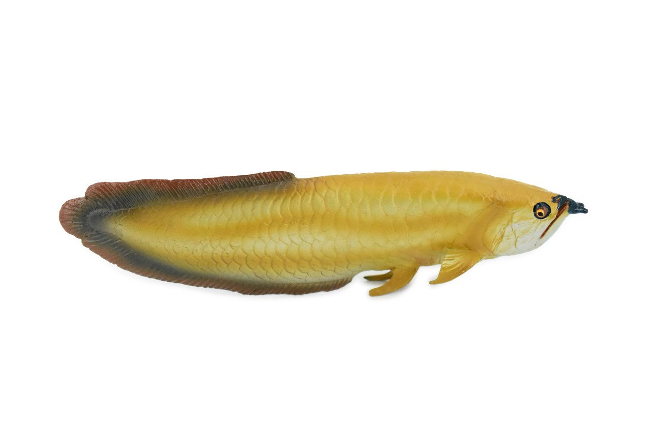 Arowana, Golden Dragon Fish, Asian Arowana, Rubber Fish, Hand Painted, Realistic Toy Figure, Model, Replica, Kids, Educational, Gift,     7"    CH224 BB119