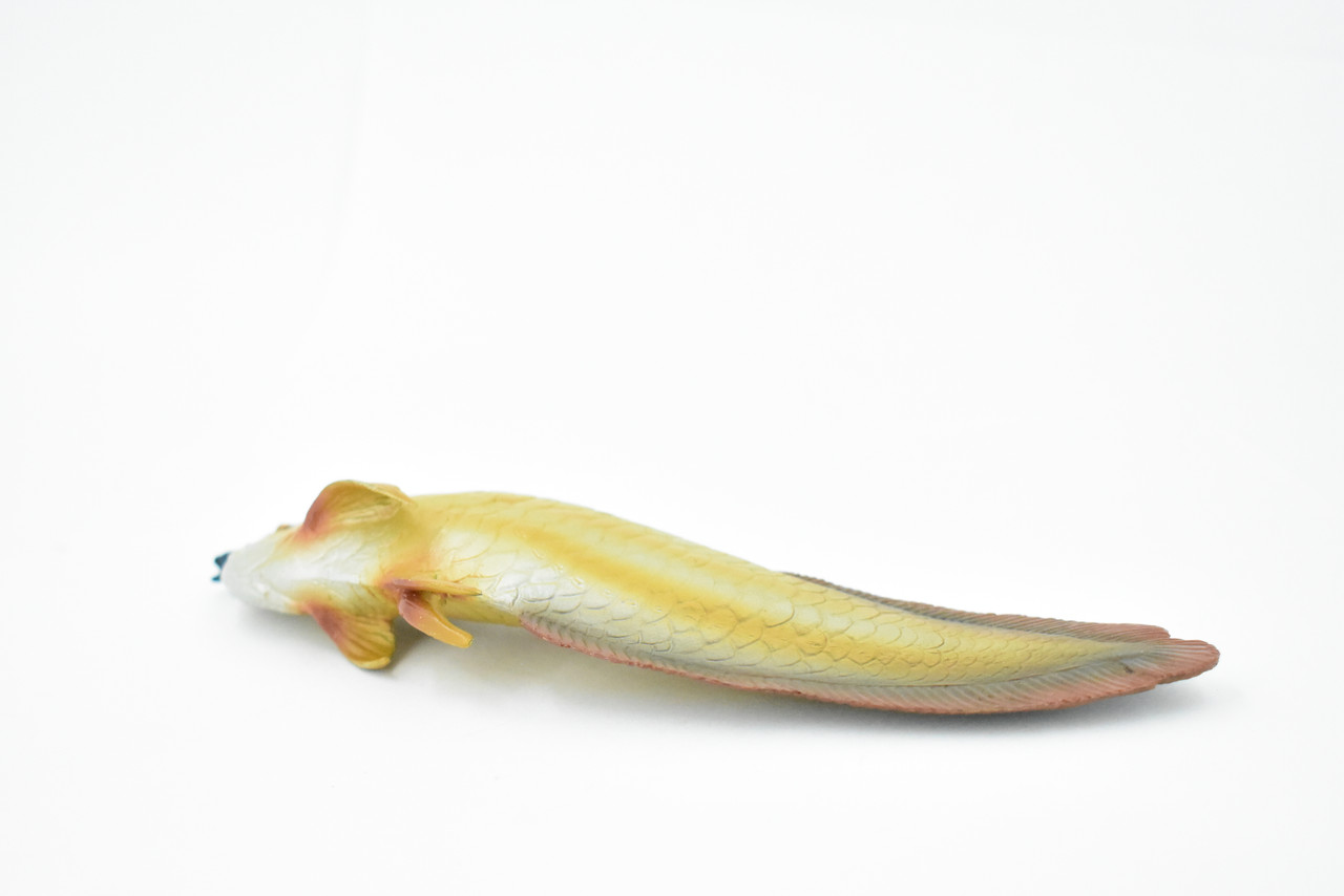 Arowana, Golden Dragon Fish, Asian Arowana, Rubber Fish, Hand Painted, Realistic Toy Figure, Model, Replica, Kids, Educational, Gift,     7"    CH224 BB119