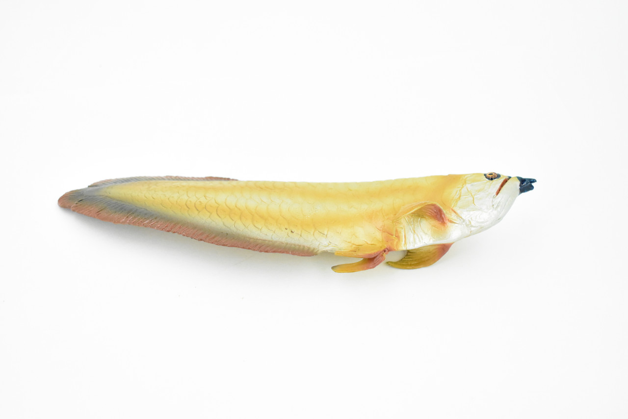 Arowana, Golden Dragon Fish, Asian Arowana, Rubber Fish, Hand Painted, Realistic Toy Figure, Model, Replica, Kids, Educational, Gift,     7"    CH224 BB119