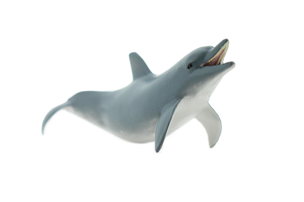 Dolphin, Bottlenose, Museum Quality, Hand Painted, Rubber Mammal, Realistic Toy Figure, Model, Replica, Kids, Educational, Gift,    5"   CH227 BB119