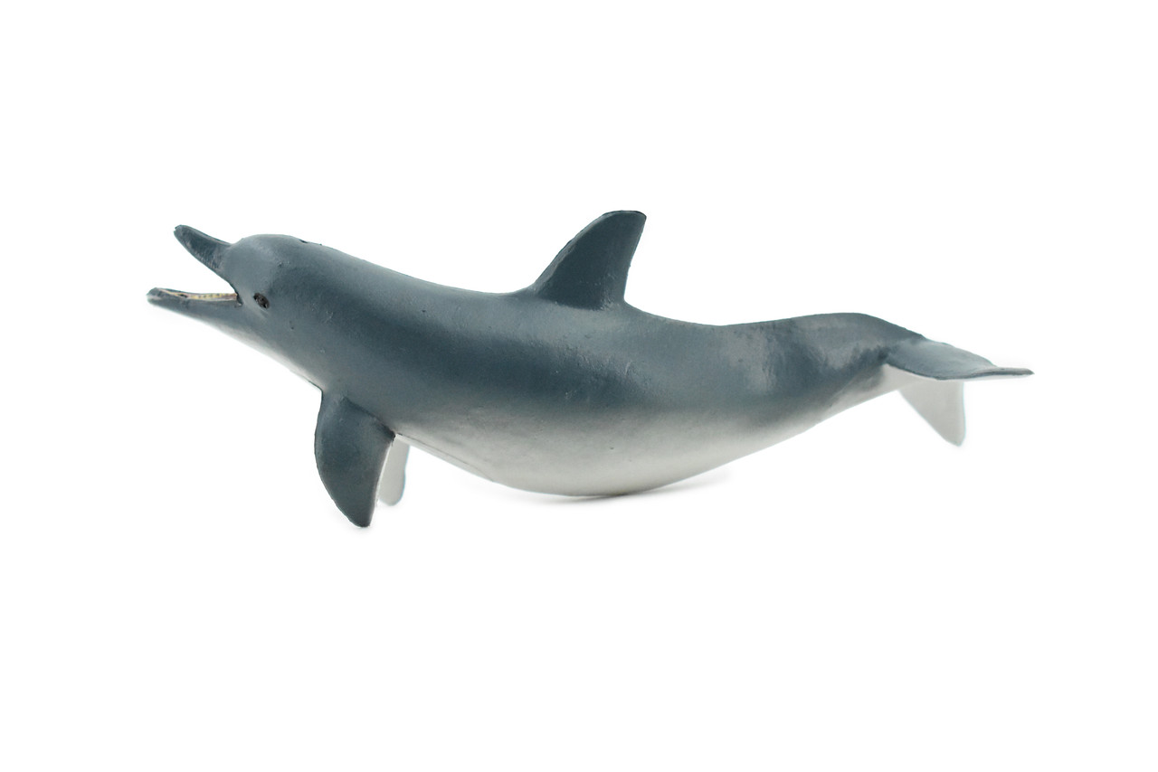 Bottlenose Dolphin, Porpoise, Cetacea, Marine Mammal, Museum Quality, Hand Painted, Realistic Toy Figure, Diorama Model, Educational,  5 Inches.