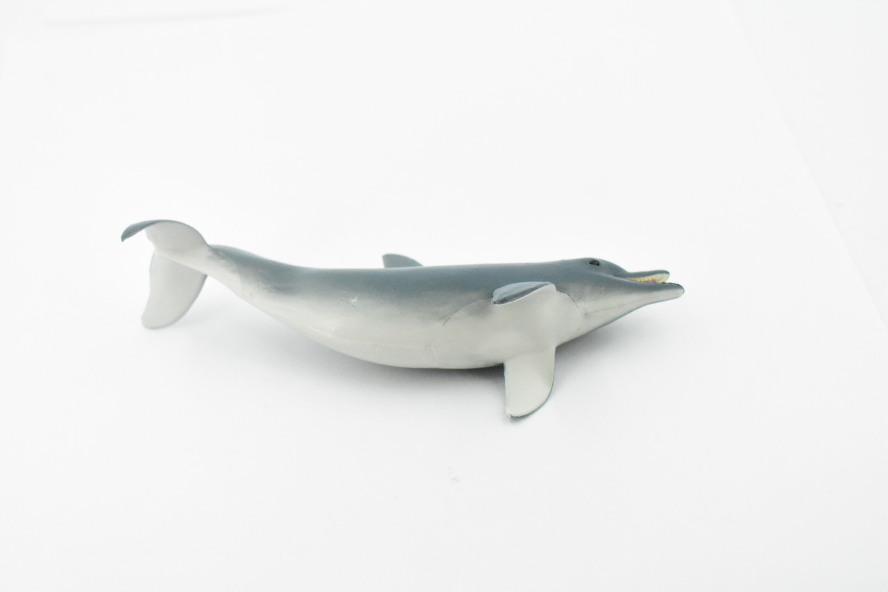 Dolphin, Bottlenose, Museum Quality, Hand Painted, Rubber Mammal, Realistic Toy Figure, Model, Replica, Kids, Educational, Gift,    5"   CH227 BB119