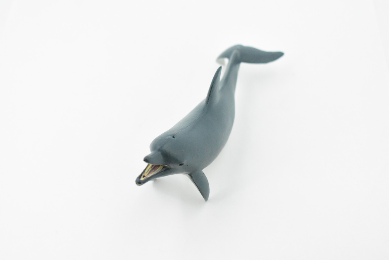 Dolphin, Bottlenose, Museum Quality, Hand Painted, Rubber Mammal, Realistic Toy Figure, Model, Replica, Kids, Educational, Gift,    5"   CH227 BB119