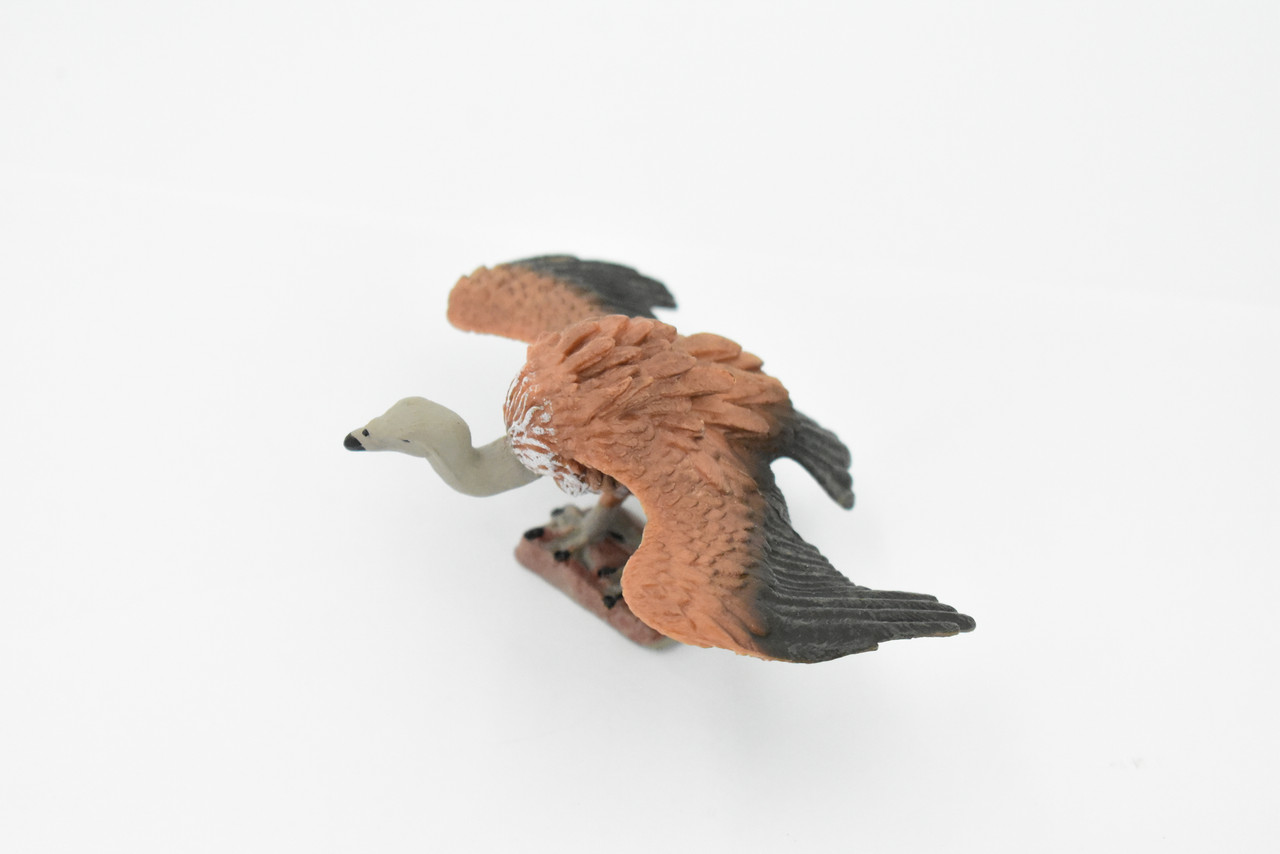 Vulture, Scavenging birds of prey, Museum Quality, Educational, Hand Painted, Rubber Bird, Realistic Toy Figure, Diorama Model, Replica, Kids,  4 Inches.
