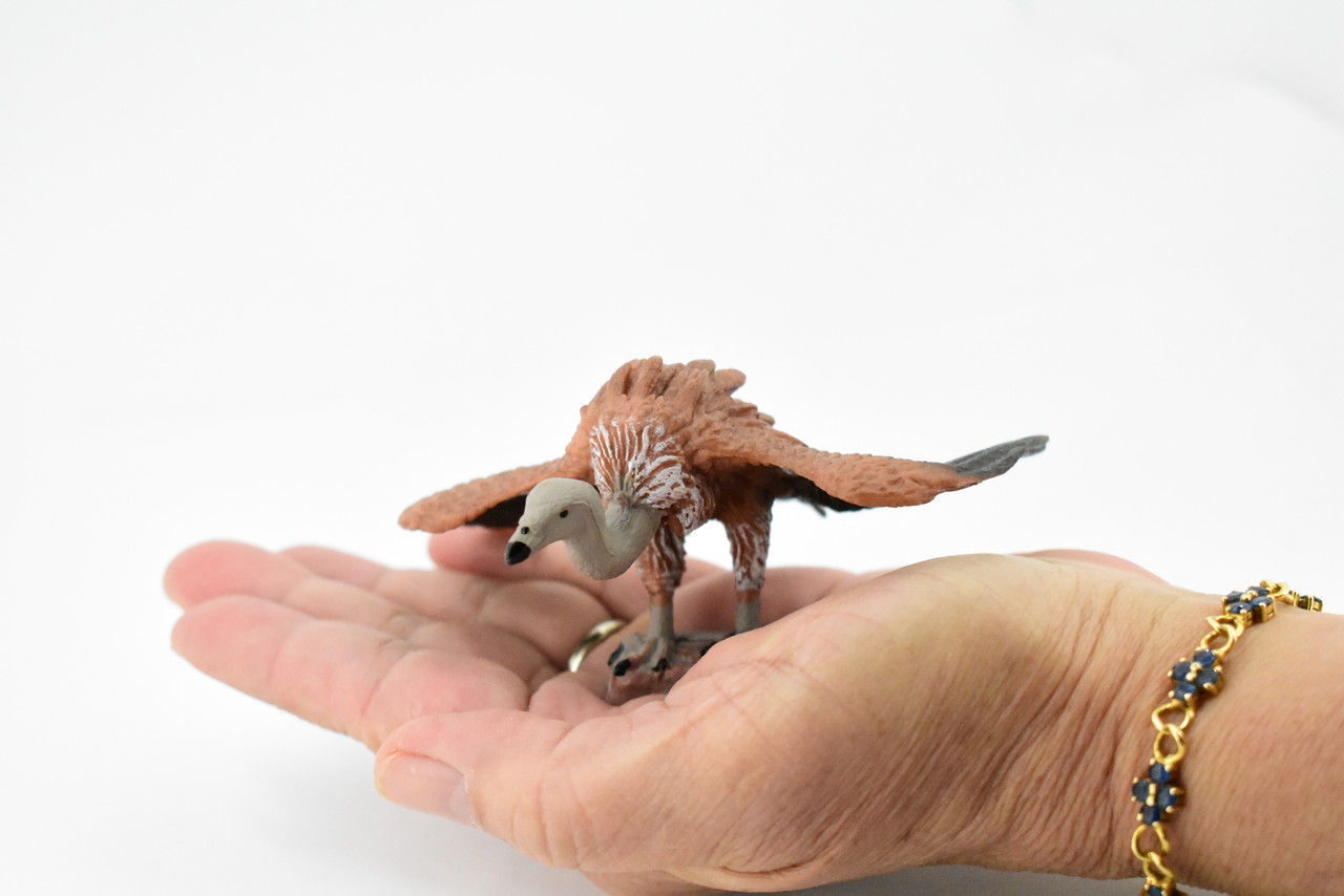 Vulture, Scavenging birds of prey, Museum Quality, Educational, Hand Painted, Rubber Bird, Realistic Toy Figure, Diorama Model, Replica, Kids,  4 Inches.