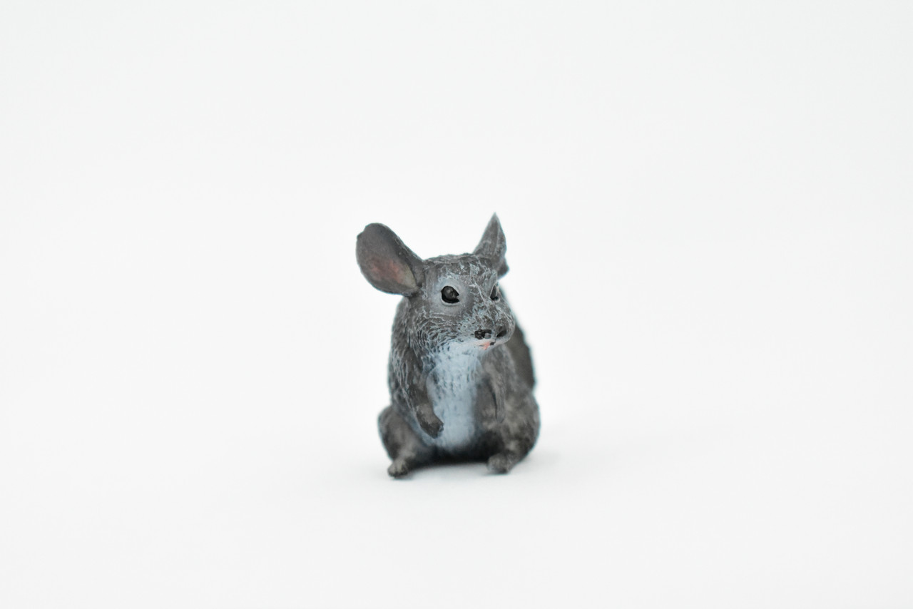 Chinchilla, Chincilldae Rodent, Rubber Animal, Hand Painted, Realistic Toy Figure, Model, Replica, Kids, Educational, Gift,     2"    CH229 BB119