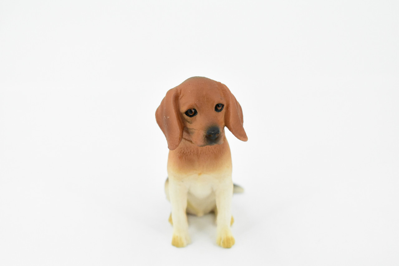 Beagle, Hound Dog, Rubber Canine, Hand Painted, Realistic Toy Figure,  Model, Replica, Kids, Educational, Gift, 3