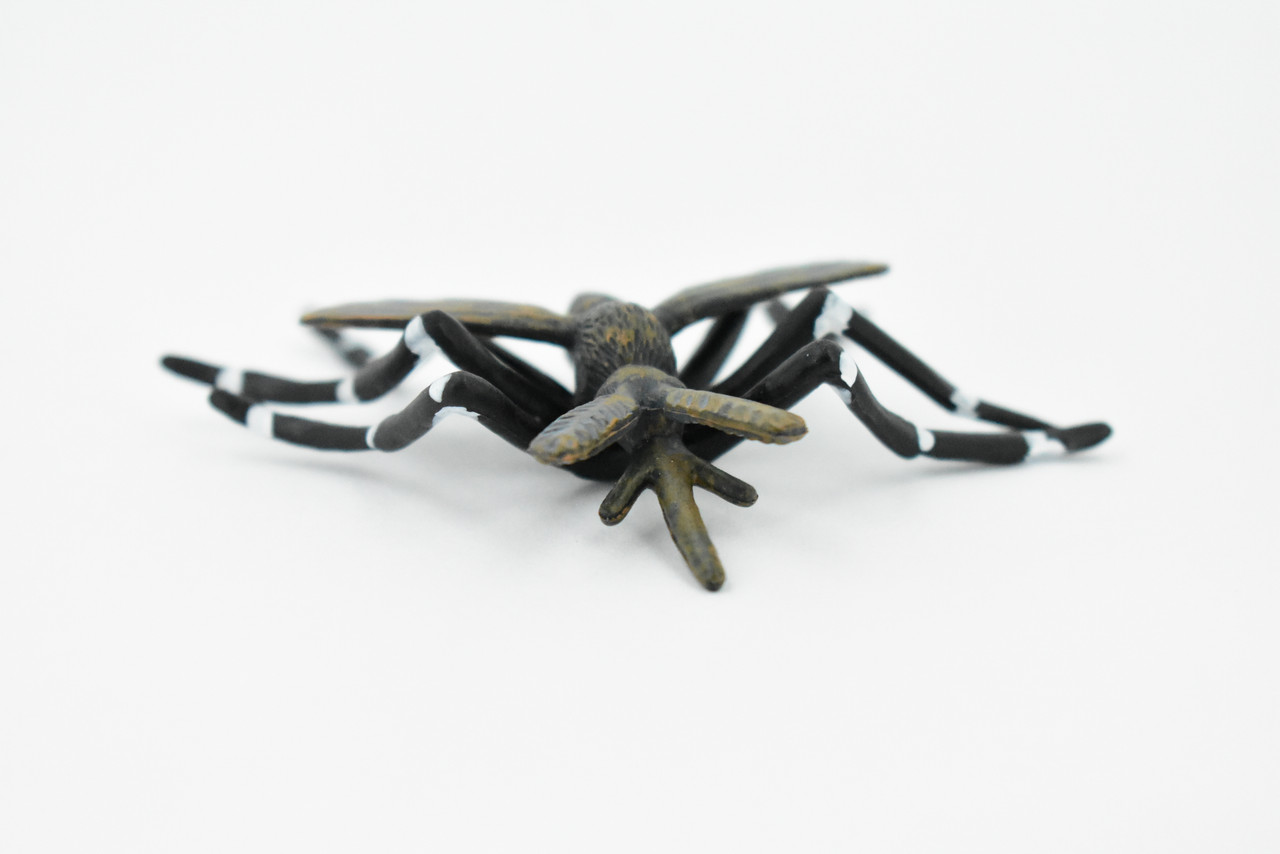 Mosquito, Black, Very Nice Rubber Figure, Educational, Hand Painted, Rubber Insect, Figure, Diorama Model, Realistic, Kids, Toys,  3 Inches. 