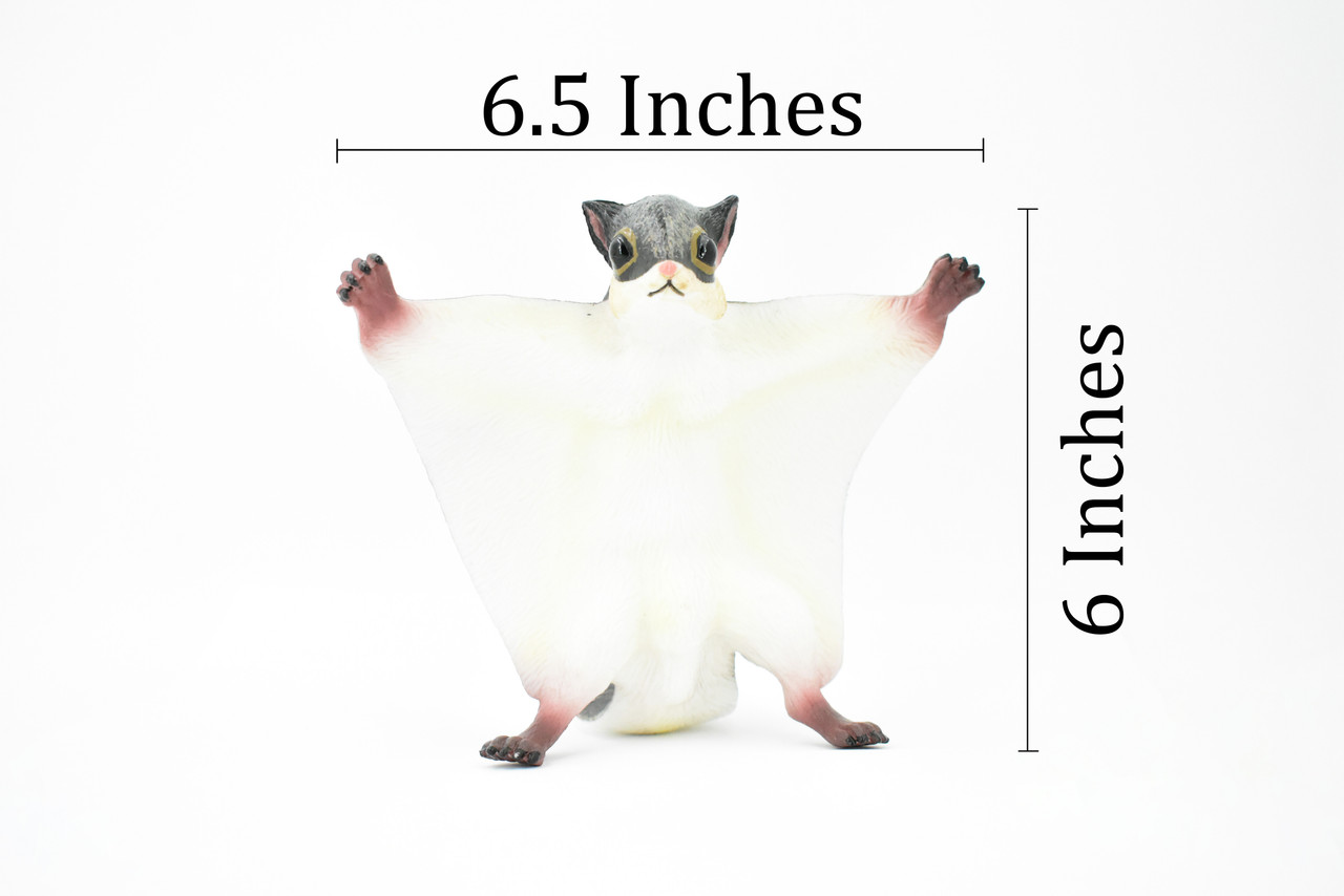  Flying Squirrel, Sciuridae, Museum Quality, Hand Painted, Rubber Mammal, Realistic Toy Figure, Model, Replica, Kids, Educational,  6 1/2 Inches.