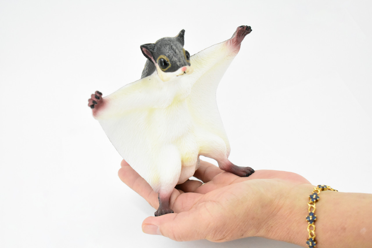 Squirrel, Flying Squirrel, Museum Quality, Hand Painted, Rubber Mammal, Realistic Toy Figure, Model, Replica, Kids, Educational, Gift,      6 1/2"     CH233 BB120