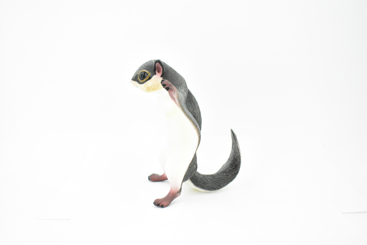 Squirrel, Flying Squirrel, Museum Quality, Hand Painted, Rubber Mammal, Realistic Toy Figure, Model, Replica, Kids, Educational, Gift,      6 1/2"     CH233 BB120