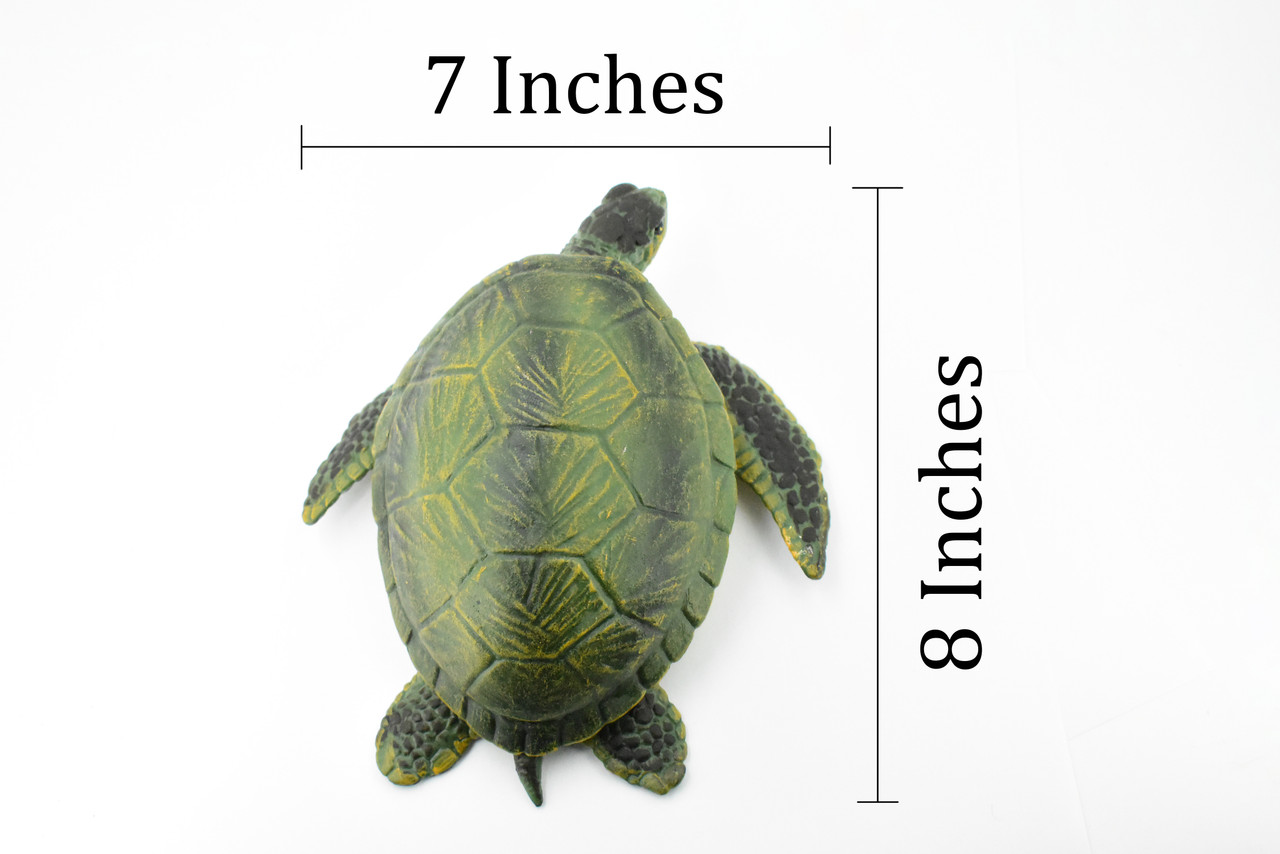 Turtle, Green Sea Turtle, Museum Quality, Hand Painted, Rubber Mammal, Realistic Toy Figure, Model, Replica, Kids, Educational, Gift,     8"     CH234 BB120