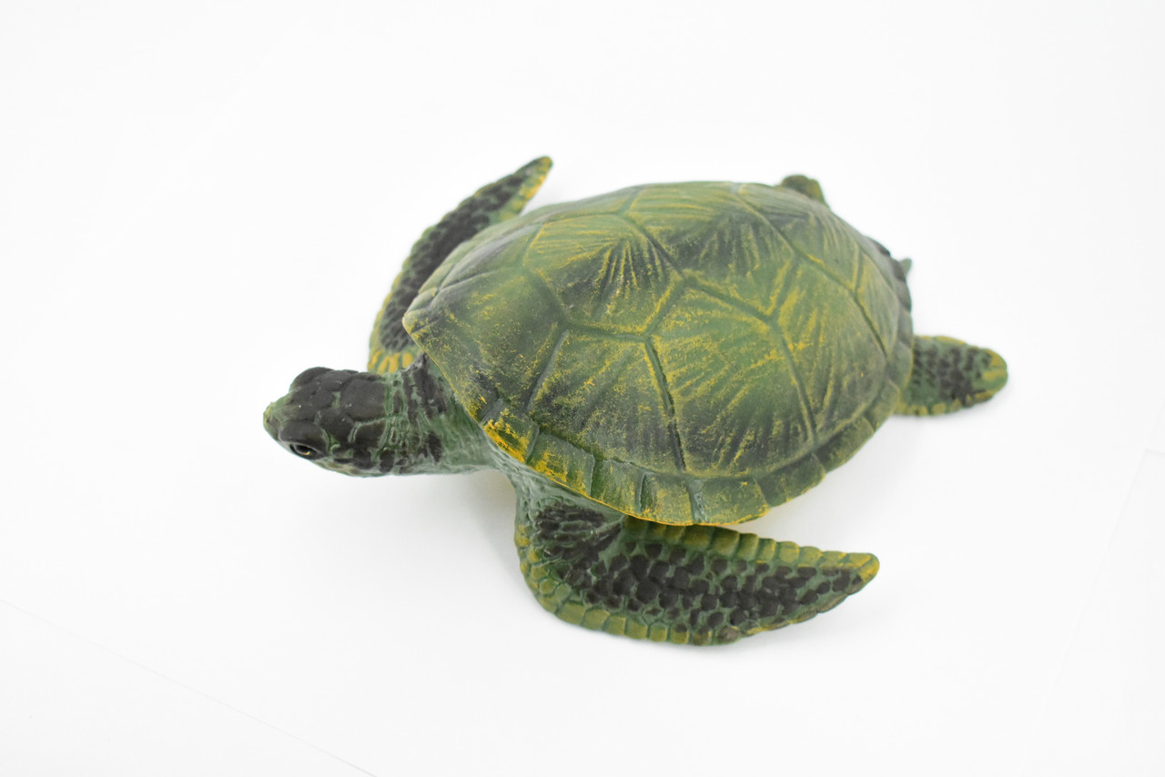 Turtle, Green Sea Turtle, Museum Quality, Hand Painted, Rubber Mammal, Realistic Toy Figure, Model, Replica, Kids, Educational, Gift,     8"     CH234 BB120