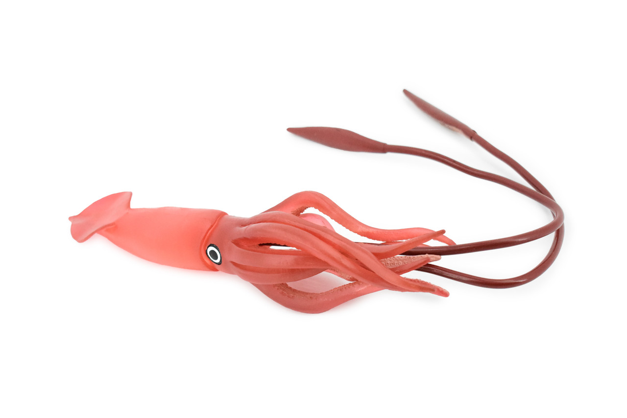 Squid, Giant, Architeuthis dux, Museum Quality, Rubber Animal, Hand Painted, Realistic Toy Figure, Model, Replica, Kids, Educational, Gift,       18"      CH235 BB120