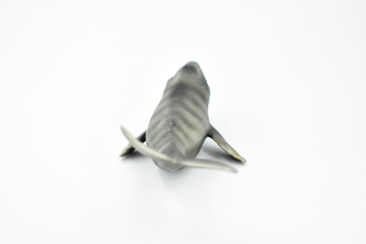 Whale, Gray Whale, Grey Back, Museum Quality, Hand Painted, Rubber Mammal, Realistic Toy Figure, Model, Replica, Kids, Educational, Gift,     7"    CH237 BB121 
