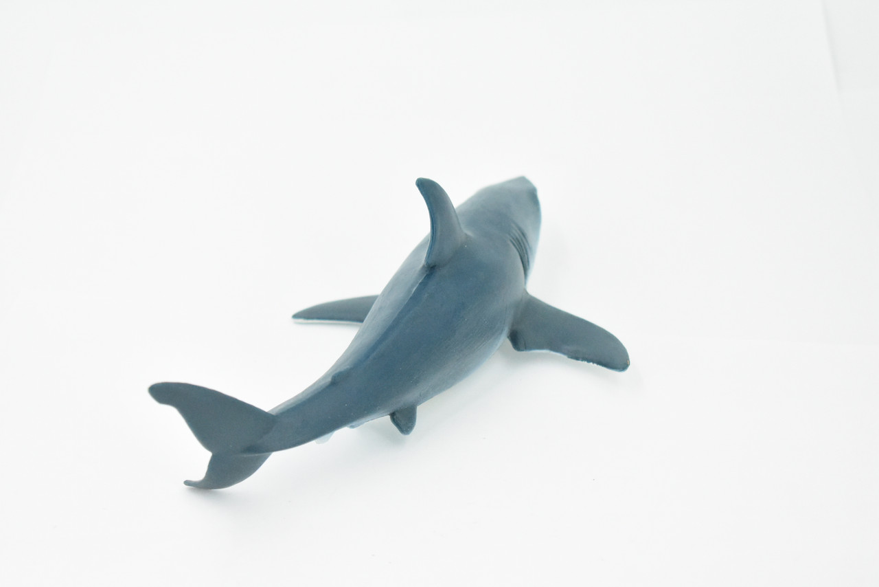 Shark, Blue Shark, Museum Quality, Hand Painted, Rubber Fish, Realistic Toy Figure, Model, Replica, Kids, Educational, Gift,       7"    CH238 BB121