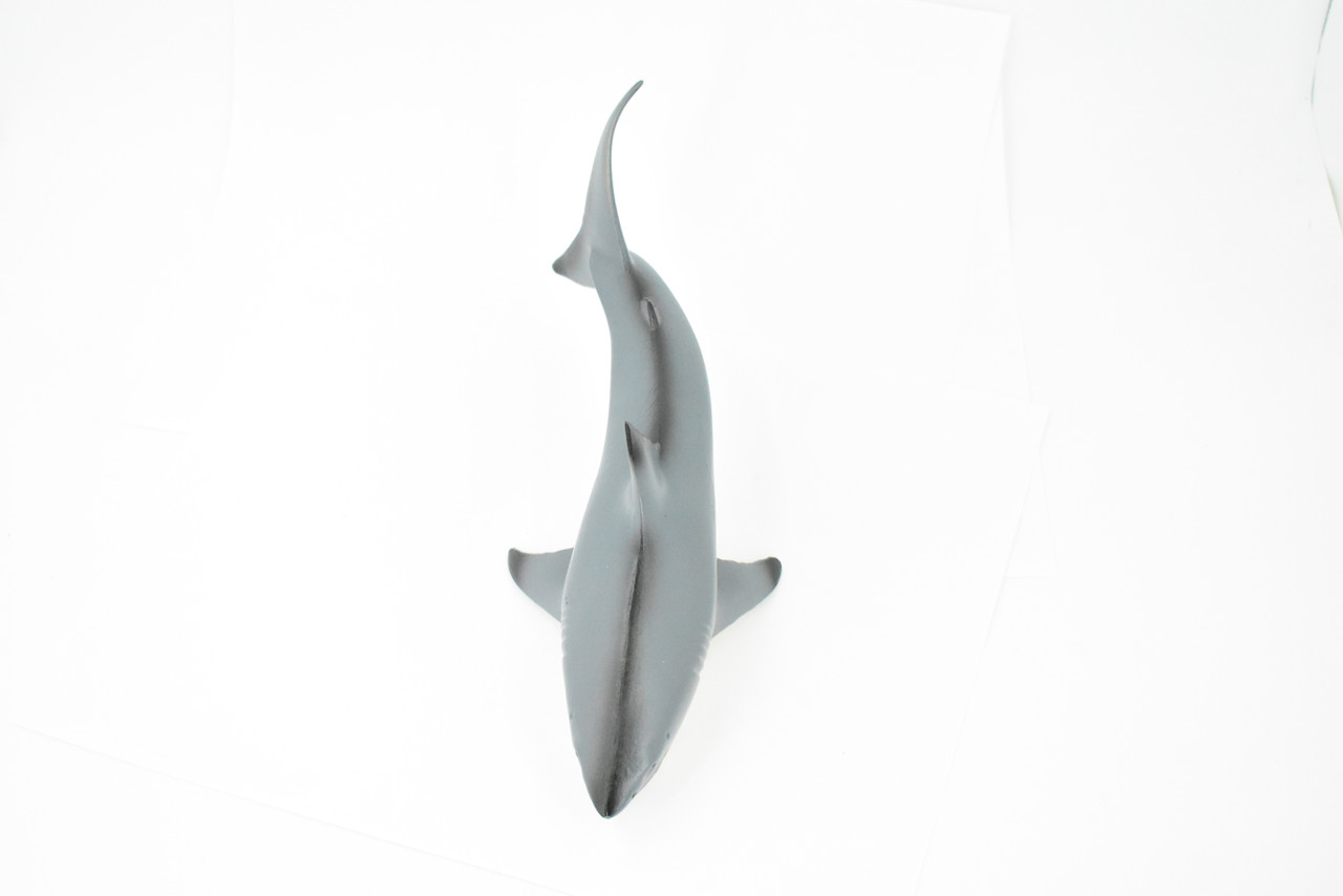 Shark, Great White Shark, Museum Quality, Rubber Fish, Hand Painted, Realistic Toy Figure, Model, Replica, Kids, Educational, Gift,     9"    CH239 BB121