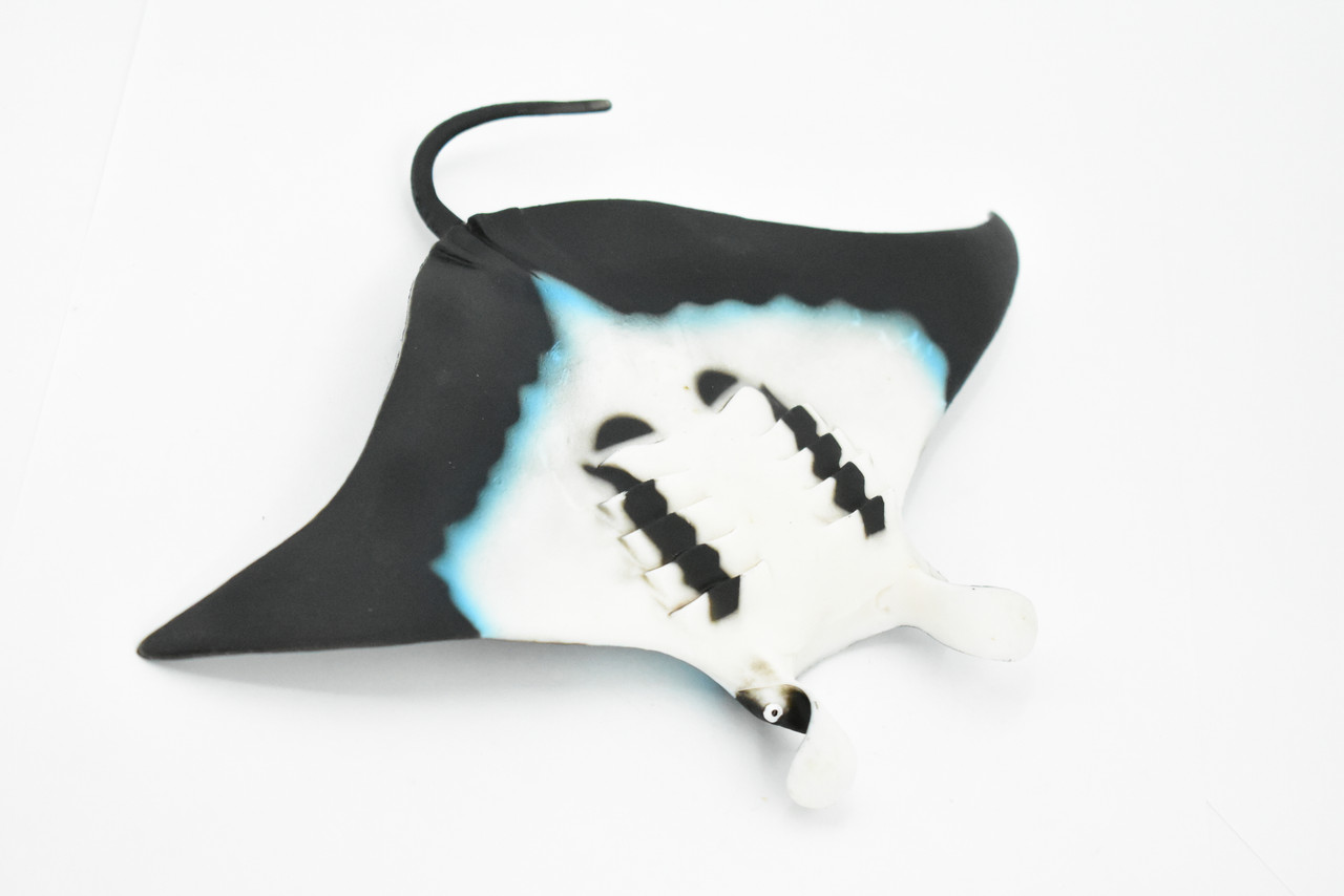 Manta Ray, Devil Fish, Museum Quality, Educational, Rubber Fish, Hand Painted, Realistic Toy Figure, Diorama Model, Kids,  9 Inches. 