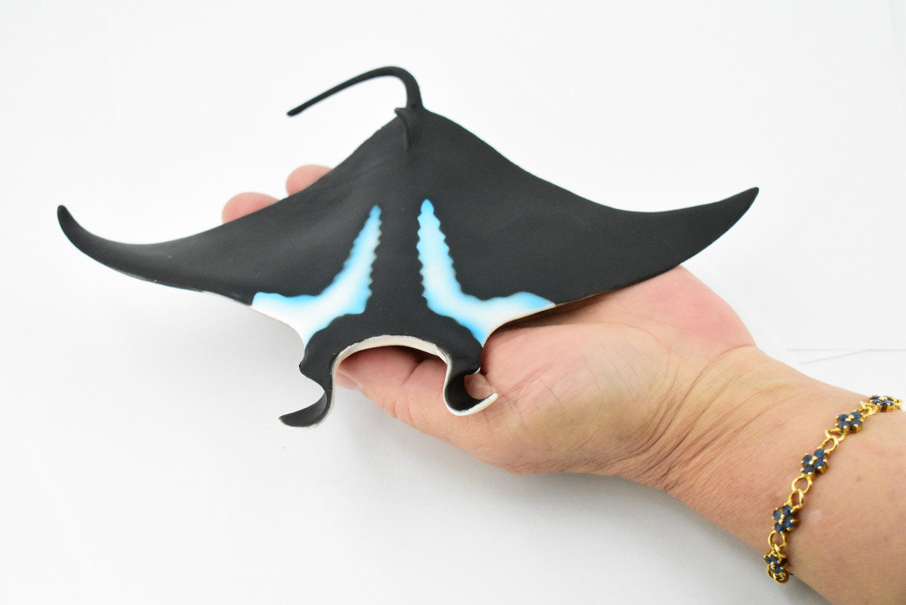 Ray, Manta Ray, Devil Fish, Museum Quality, Hand Painted, Rubber Toy Figure, Realistic  Model, Replica, Kids, Educational, Gift,     9"    CH240 BB121