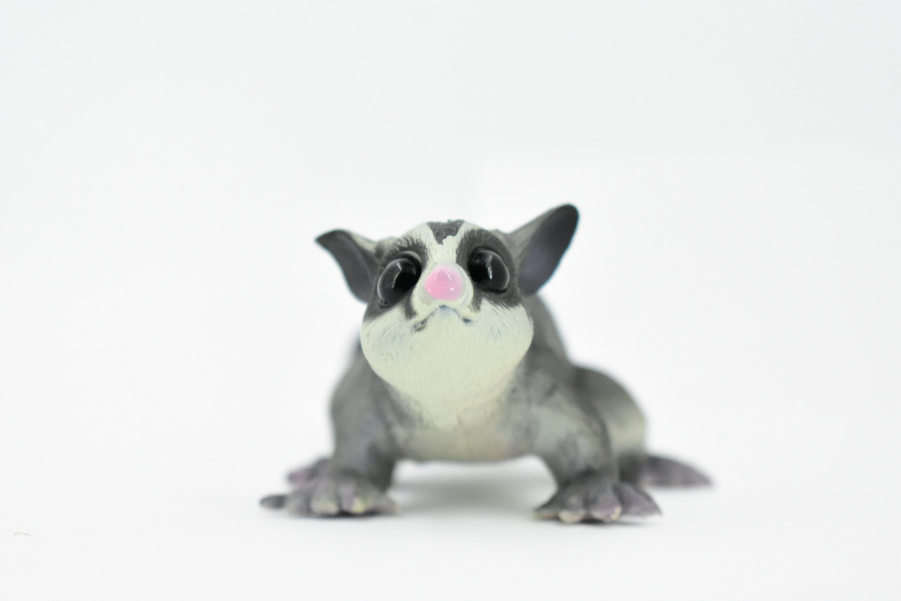 Sugar Glider, Fying Squirrel, Gliding Possum, Museum Quality, Hand Painted, Rubber Mammal, Realistic Toy Figure, Replica, Kids, Educational, Gift,    7"    CH241 BB122