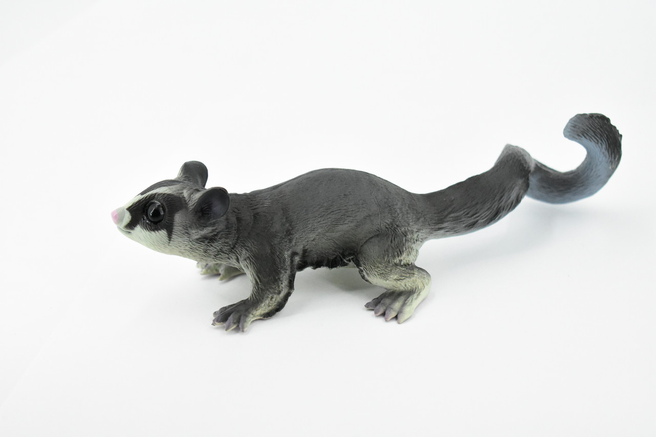 Sugar Glider, Flying Squirrel, Gliding Possum, Museum Quality, Hand Painted, Rubber, Realistic, Diorama Model, Replica, Kids, Educational,  7 Inches.