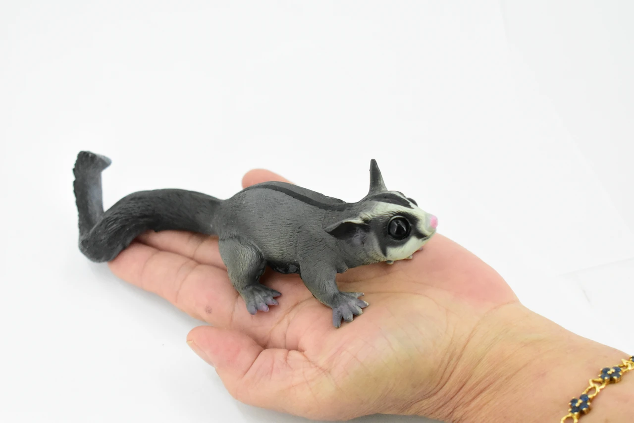 Sugar Glider, Flying Squirrel, Gliding Possum, Museum Quality, Hand Painted, Rubber, Realistic, Diorama Model, Replica, Kids, Educational,  7 Inches.