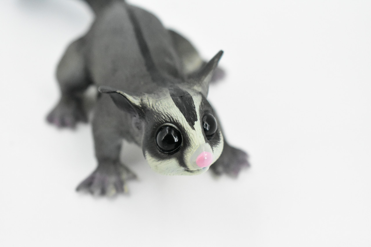 Sugar Glider, Flying Squirrel, Gliding Possum, Museum Quality, Hand Painted, Rubber, Realistic, Diorama Model, Replica, Kids, Educational,  7 Inches.