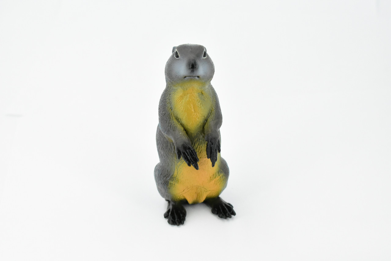 Marmot, Ground Squirrel, Marmota, Museum Quality, Hand Painted, Rubber Mammal, Realistic Toy Figure, Replica, Kids, Educational,  4 1/2 Inches.  