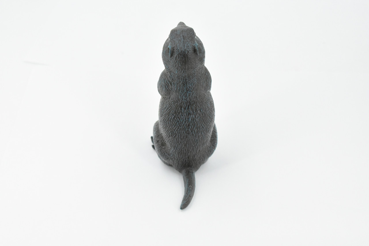 Marmot, Ground Squirrel, Marmota, Museum Quality, Hand Painted, Rubber Mammal, Realistic Toy Figure, Replica, Kids, Educational,  4 1/2 Inches.  