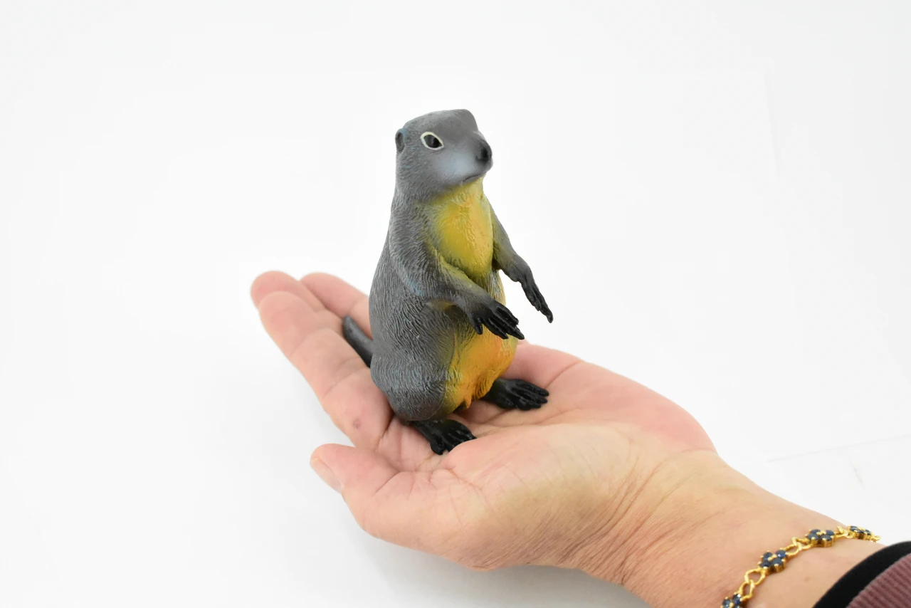 Marmot, Ground Squirrel, Marmota, Museum Quality, Hand Painted, Rubber Mammal, Realistic Toy Figure, Replica, Kids, Educational,  4 1/2 Inches.  